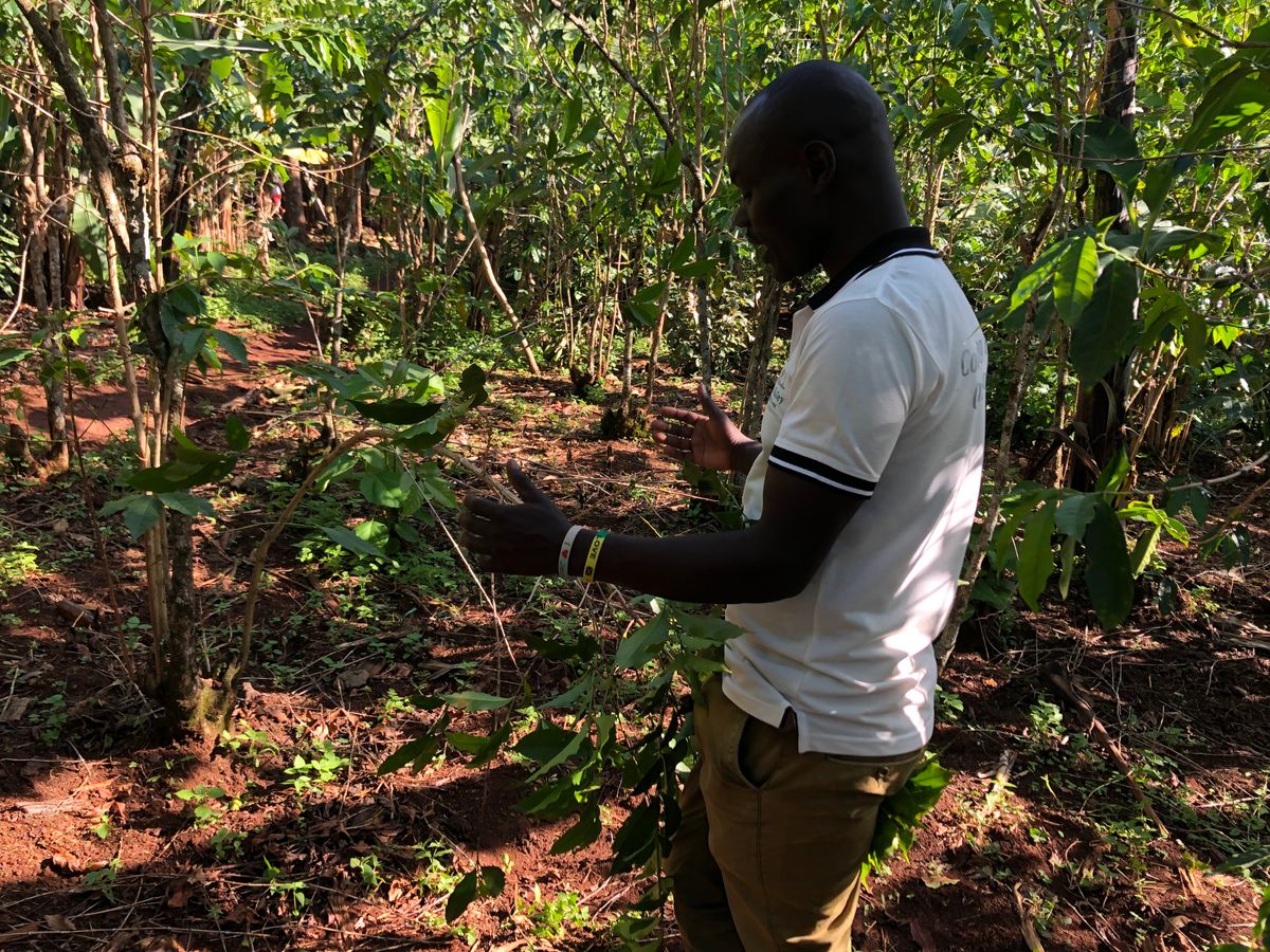 sustainable safari tourism